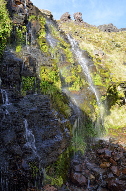 Aguas termales Ketetahi, Nueva Zelanda
 - Foto, Imagen