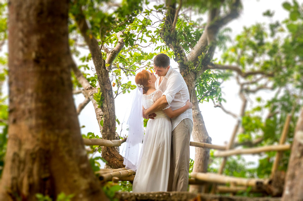 mladí, milující pár na pozadí tropický prales, svatební den,  - Fotografie, Obrázek