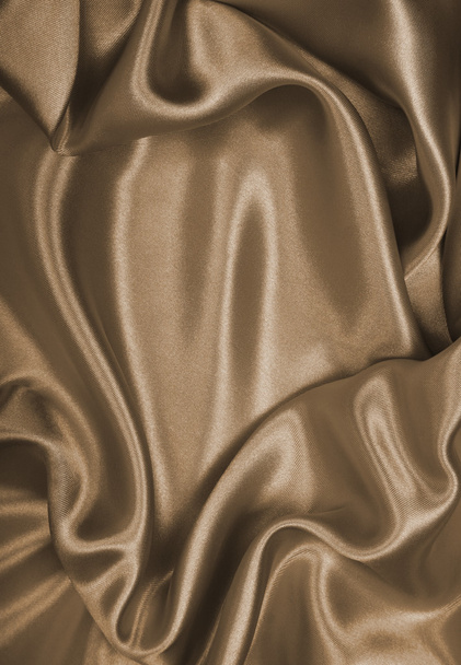 Elegant brown silk - Fotoğraf, Görsel