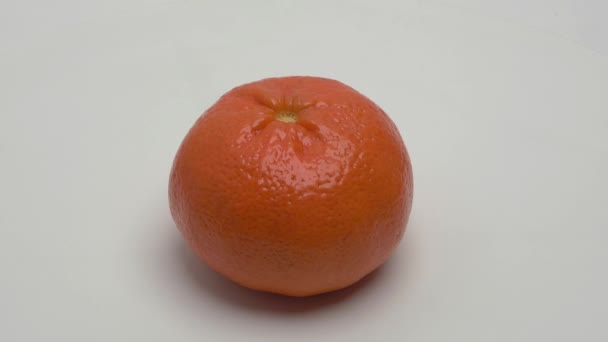 A mandarin fehér alapon forog. Videó. - Felvétel, videó