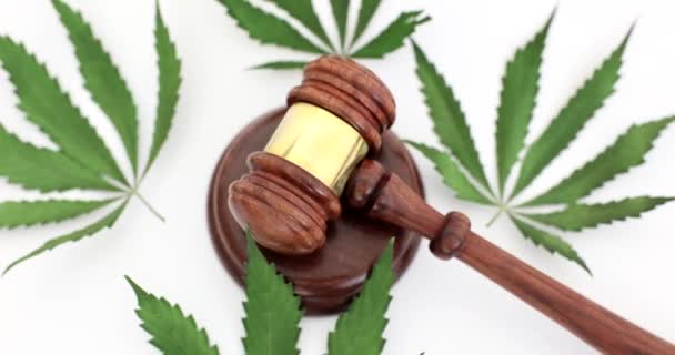 Судья деревянный молоток лежал на листьях марихуаны крупным планом 4К фильма. Уголовная ответственность за хранение и продажу наркотиков - Кадры, видео