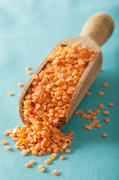 raw healthy red lentils in scoop - Photo, Image