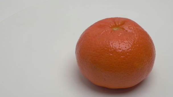Panorama horizontal de una mandarina sobre un fondo blanco. Vídeo. - Metraje, vídeo