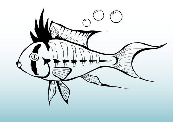 La imagen del pez
 - Vector, imagen
