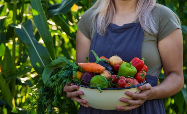 kobieta w ogrodzie z warzywami w rękach. - Zdjęcie, obraz