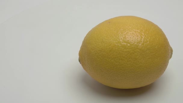 Panorama horizontal d'un citron jaune sur fond blanc. Vidéo. - Séquence, vidéo
