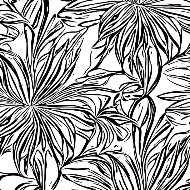 黒と白の植物パターン。 グラフィック,素材に使用するため. 抽象的な植物の形状. 壁の装飾に印刷するための最小限のイラスト. - 写真・画像