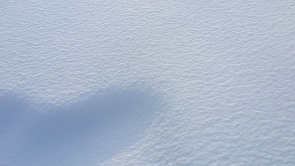 Snow background - Photo, image