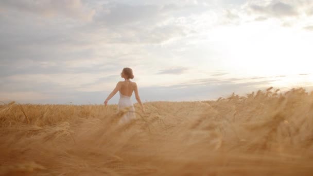 Schattige blanke vrouw draagt een witte jurk midden in een uitgestrekt tarweveld. Heerlijke blonde vrouw die acrobatische bewegingen maakt en zich verbonden voelt met de natuur. - Video