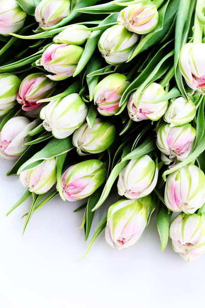 Manojo de hermosos tulipanes
 - Foto, imagen