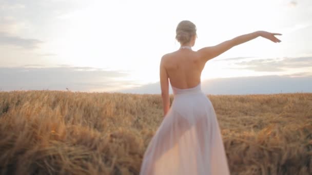 Back view of woman standing amidst vast field with warm glow of rising sun. Trendy caucasian female wearing white dress dancing elegantly and enjoying serene environment outdoors. - Footage, Video