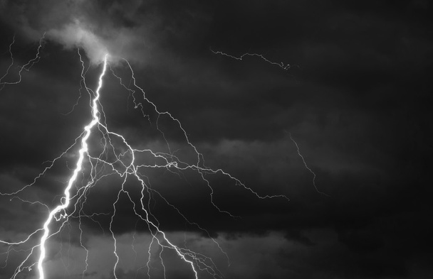 Fork lightning striking down during summer storm - Photo, Image