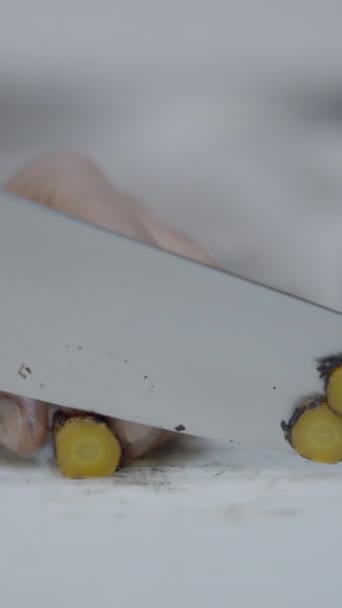 Chef snijdt groenten op restaurant aanrecht, slomo close-up - FullHD Verticale video - Video