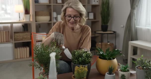 een vrouw bloemist zorg te nemen groeien planten thuis slow motion - Video
