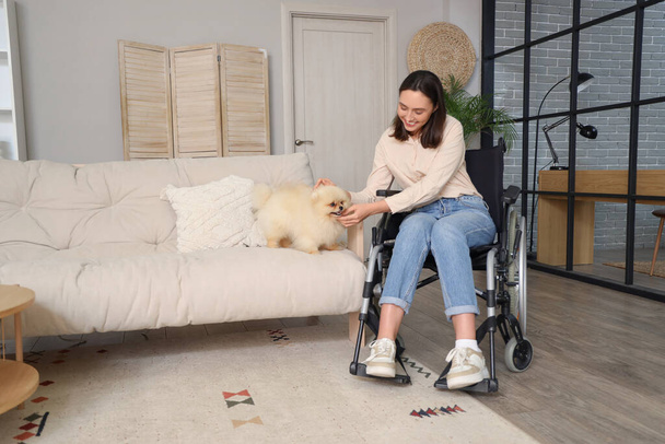 Szczęśliwa młoda kobieta na wózku inwalidzkim z Pomorskim psem na sofie w domu - Zdjęcie, obraz