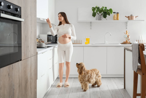 Junge schwangere Frau mit Cockerspaniel öffnet Schublade in Küche - Foto, Bild