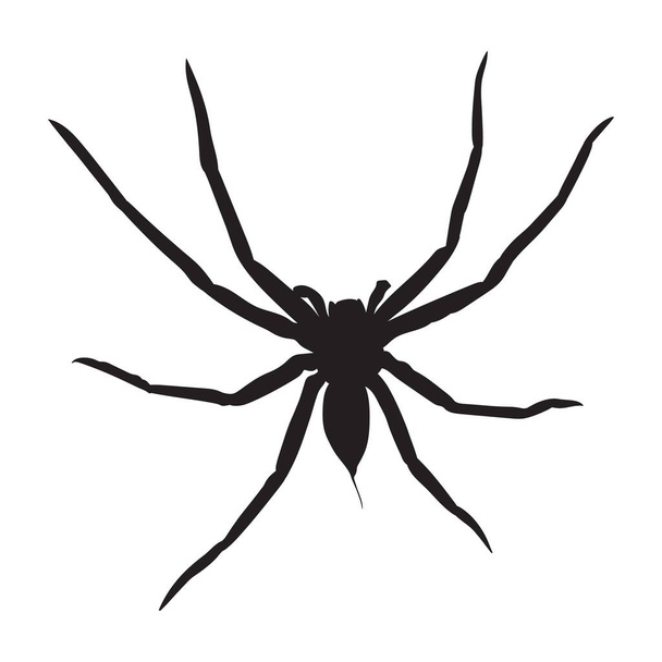 Векторний силует павука ізольовано на білому тлі. - Вектор, зображення