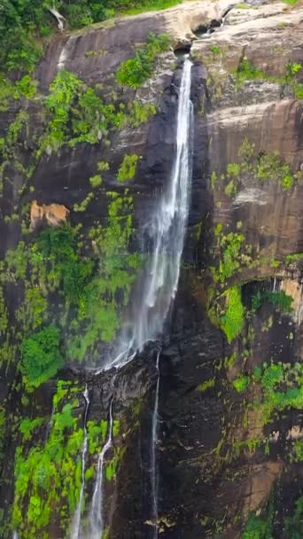 Beautiful waterfall in the rainforest. Diyaluma Falls in the tropical mountain jungle. Vertical video. - Footage, Video