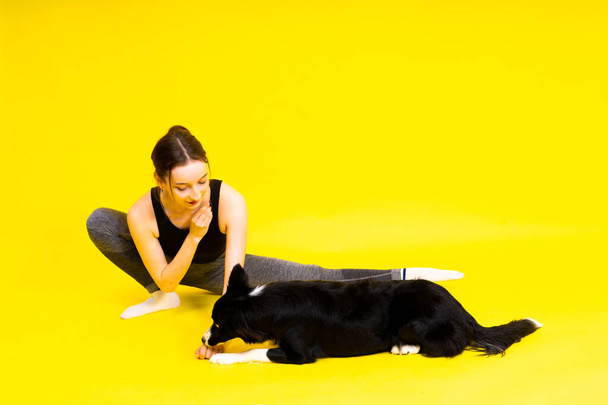 Border collie chien et sport fitness femme devant un fond jaune rouge - Photo, image