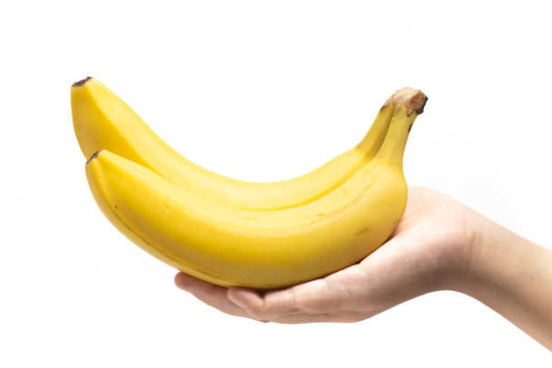 白い背景クリッピングパスで隔離された2つの新鮮な有機バナナの美味しいフルーツの束を握る手 - 写真・画像