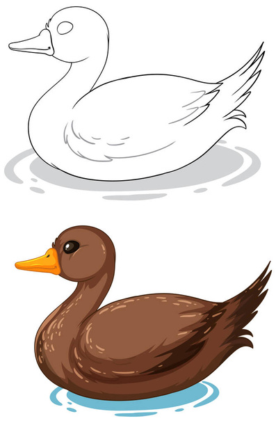 Two stylized ducks floating peacefully on water - Vector, Image
