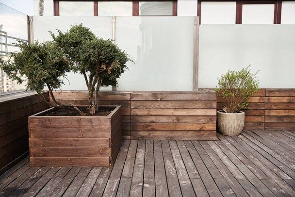 A small tree thrives in a wooden planter on a deck, adding natural beauty and serenity to the outdoor space - Photo, Image