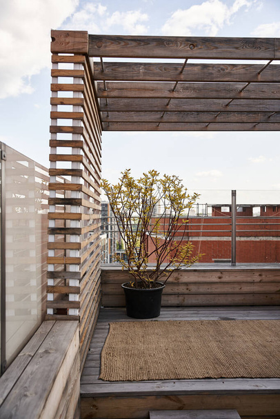 Spokojne ustawienie balkonu z samotną rośliną doniczkową spoczywającą na podłodze, pławiącą się w słońcu - Zdjęcie, obraz