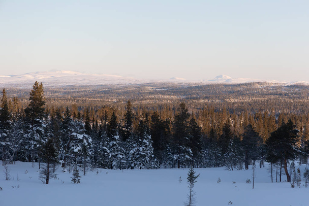 Nordic Dawn: Snowy Wilderness Landscape Svédországban világító Under Sunrise Észak-Európában - Fotó, kép