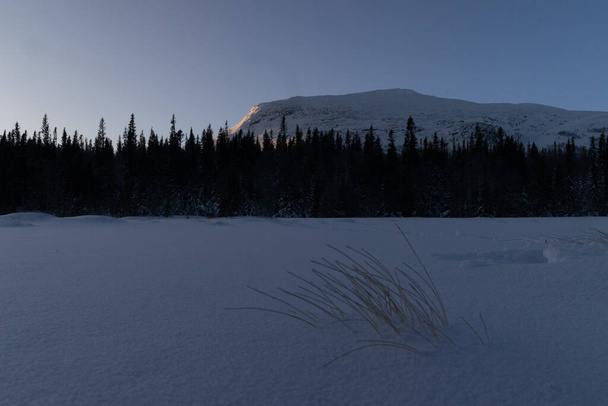 Svéd téli csodaország: havas erdő fenséges hegyekkel az észak-európai napfelkeltekor - Fotó, kép