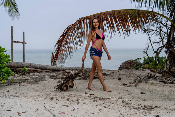 ビキニで飾られた日焼けブルネットは,砂浜でカリブ海の至福をリフレッシュし,ココナッツの狩猟中に美しさと冒険を組み合わせています - 写真・画像