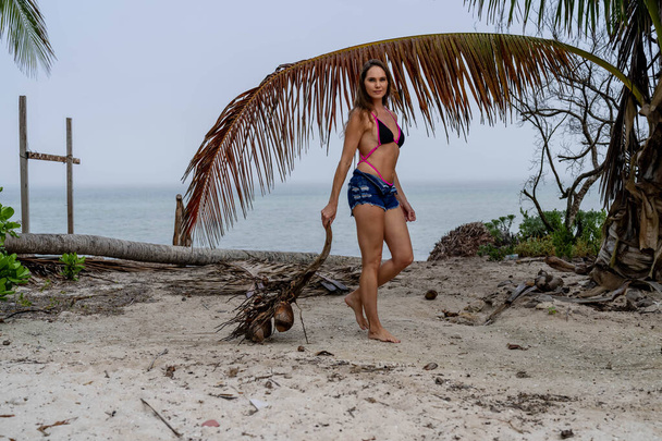 Bikinili, güneşli esmer, kumlu sahillerde Karayipler 'de eğleniyor, güzelliği macera ile birleştirerek hindistan cevizi avlıyor. - Fotoğraf, Görsel