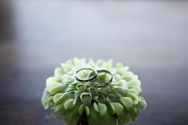 A fehér virág dekoráció esküvői Jegygyűrűk - Fotó, kép