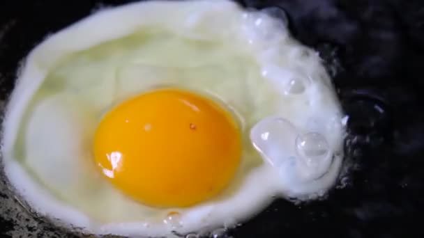 Faire frire l'œuf de poulet dans de l'huile bouillonnante chaude - Séquence, vidéo