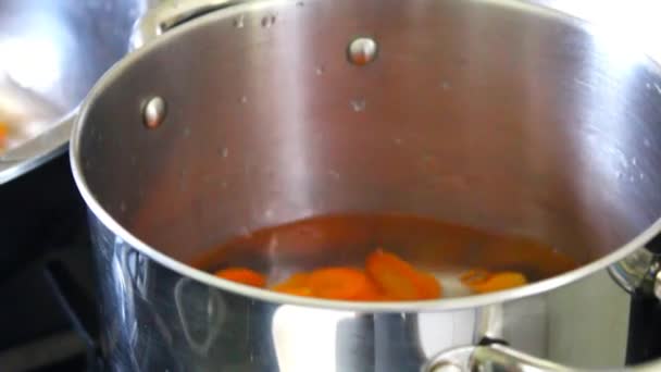 Poner a mano rodajas de zanahoria cortadas en la olla de cocción en la estufa - Metraje, vídeo