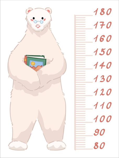 Söpö jääkarhun mittauskorkeus valkoisella pohjalla - Vektori, kuva