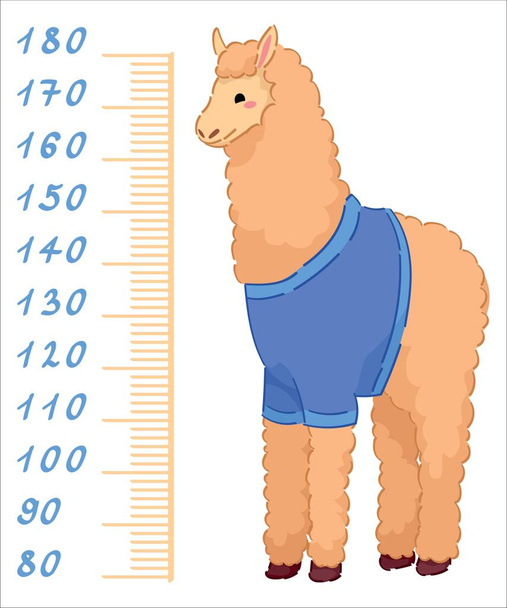 Cute alpaca measuring height on white background - Vector, Image
