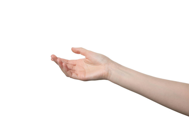 PNG, mano femenina, aislada sobre fondo blanco - Foto, Imagen