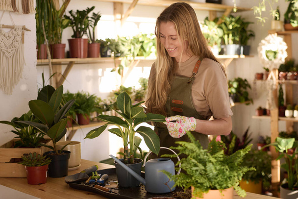 Retrato medio de mujer caucásica feliz con el pelo largo sonriendo mientras cuida las plantas de interior en su tienda de plantas - Foto, Imagen
