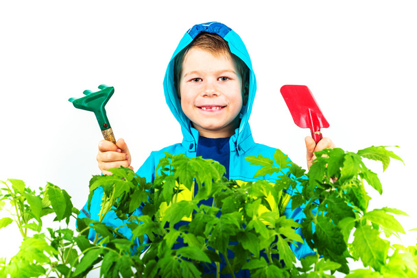 Feliz niño de la jardinería de primavera con plántulas y herramientas sobre fondo blanco
. - Foto, Imagen
