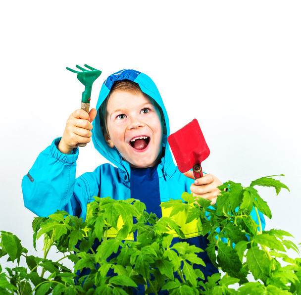 Feliz niño de la jardinería de primavera con plántulas y herramientas sobre fondo blanco
. - Foto, imagen