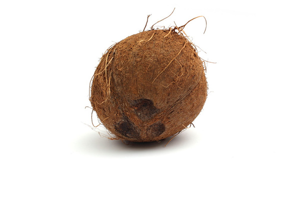 coconut - Foto, Bild