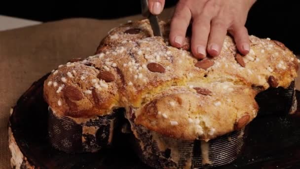 Bolo COLOMBA é uma sobremesa tradicional da Páscoa italiana. O chef corta o bolo de colomba da Páscoa e demonstra a massa delicada e arejada. Vista frontal - Filmagem, Vídeo