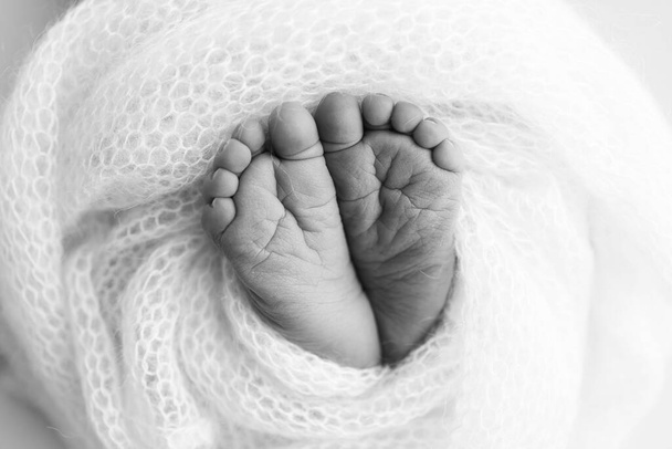 Le petit pied d'un nouveau-né. Pieds doux d'un nouveau-né dans une couverture de laine. Gros plan des orteils, des talons et des pieds d'un nouveau-né. Macro photographie noir et blanc. - Photo, image