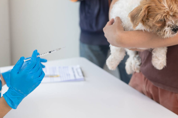 Veteriner, veteriner köpek için yıllık sağlık kontrolü yaptıktan sonra bulaşıcı hastalıkları önlemek için köpek yavrusu aşısı olur. Veterinerlerden yıllık aşı almak için evcil hayvan getirme kavramı - Fotoğraf, Görsel
