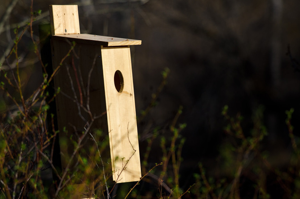 Caixa de nidificação em pé no início da manhã Luz solar
 - Foto, Imagem
