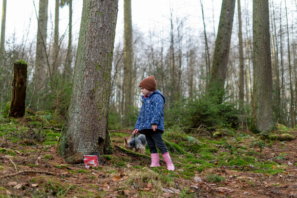 森で犬と一緒に歩いている小さな女の子. ハッピー・チャイルド. - 写真・画像
