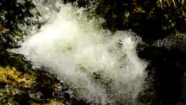 Mały wodospad - Materiał filmowy, wideo