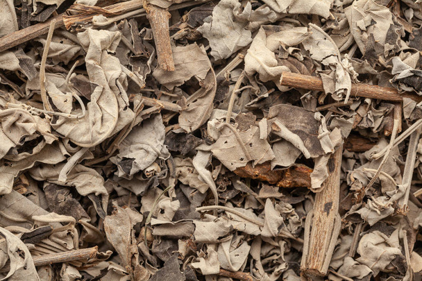 Close-up of Dry Organic Nirgundi (Vitex negundo) leaves, Full-Frame wallpaper. Top View - Photo, Image