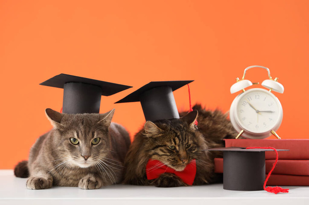 Cute cats with graduation hats, clock and books on table against orange background. End of school year - Photo, Image