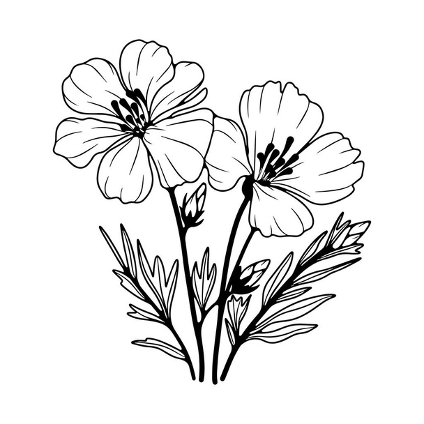 Black and white hand drawn floral pattern. Contour of cute flower on a white background. - Vector, Image